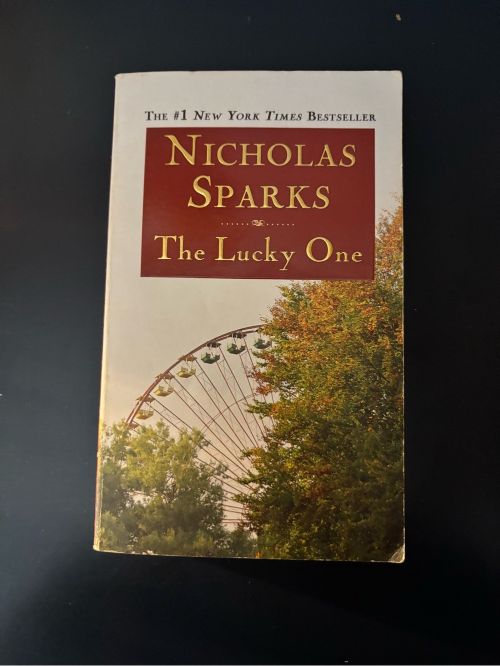 Nicholas Sparks "The Lucky One" Paperback - White & Maroon Cover